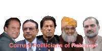 Pakistan Ppp Sticker - Pakistan Ppp Pmln Stickers