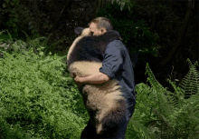Hug Embrace GIF - Hug Embrace Big Panda GIFs