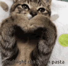Goodnight Goodnight Chat GIF - Goodnight Goodnight Chat Gn Pasta GIFs