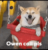 Owen Call Pls GIF - Owen Call Pls Owen GIFs