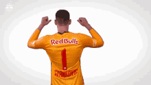 Fc Red Bull Salzburg Cican Stankovic GIF