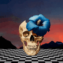 Zappagazapata Skull GIF - Zappagazapata Skull Flower GIFs