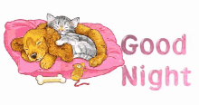 Puppy Kitty GIF - Puppy Kitty Good Night GIFs
