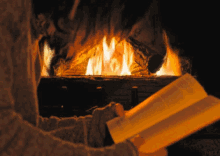 Reading By The Fire Flame GIF - Reading By The Fire Flame Firelight GIFs