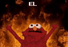 Elpimpeonfire Elmo On Fire GIF - Elpimpeonfire Elmo On Fire Pimpe GIFs