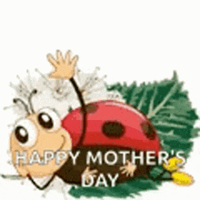 a ladybug is laying on a green leaf and waving at the camera .