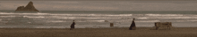 a group of people standing on a beach with a boat in the distance