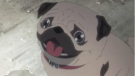 Pugs! | Anime Amino
