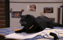 Cat Studying GIF - Cat Studying GIFs