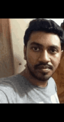 a man with a beard is wearing a grey shirt and looking at the camera