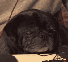 Nap Time Bed Time GIF