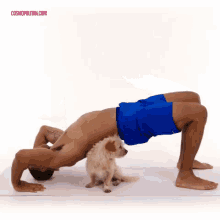 Stretch GIF - Workout Yoga Cute GIFs