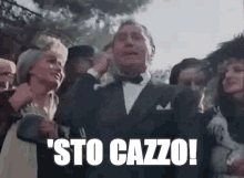 Stocazzo Cazzo GIF - Stocazzo Sto Cazzo GIFs
