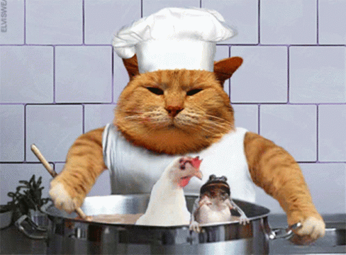 cooked cats