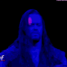 a man with long purple hair and a beard has a wwe logo on his chest