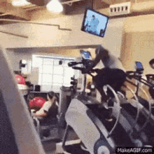 Too Much Fun On Stair Master GIF - Stair Master Exercise Gym GIFs