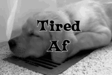 Tired Af Nap GIF - Tired Af Nap Napping GIFs