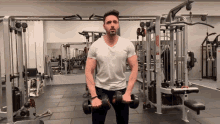 Front Lateral Raise Dumbells GIF - Front Lateral Raise Dumbells GIFs