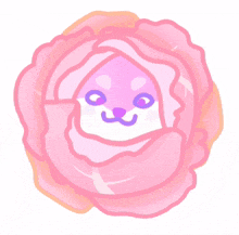 doge cabbage pink