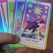 Rainbow Tarot GIF - Rainbow Tarot Cards GIFs
