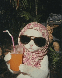 a cat wearing sunglasses and a scarf is holding a drink