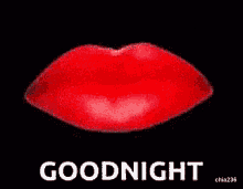goodnight kiss kiss goodnight chia236 for you