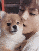 a woman kisses a small brown dog on the cheek