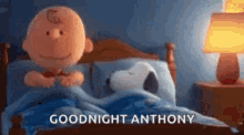 Snoopy Peanut GIF - Snoopy Peanut Good Night GIFs