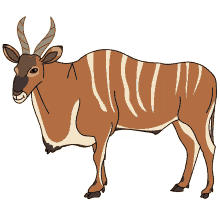 antelope eland giant eland western giant eland