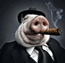 Top Swine GIF - Top Swine GIFs