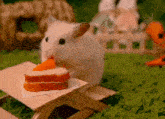Hamster Cake GIF - Hamster Cake Small Cakes Roasting GIFs