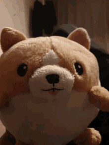 Nugget Yes GIF - Nugget Yes Cute GIFs