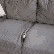 Cat Climbs Out Of Couch Im Ready GIF