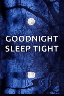 Goodnight Sleep Tight GIF - Goodnight Sleep Tight Full Moon GIFs