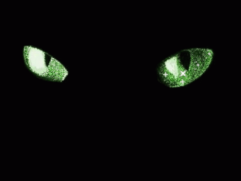 Green Eyes Cats Eyes GIF - Green Eyes Cats Eyes Glitter Eyes - GIF များ