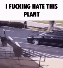 Plant Hate GIF - Plant Hate Meme GIFs