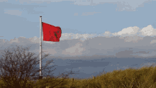 Philrileysings Redflag GIF - Philrileysings Redflag Flag GIFs