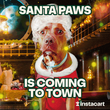 Santa Pet Santa GIF - Santa Pet Santa Xmas GIFs