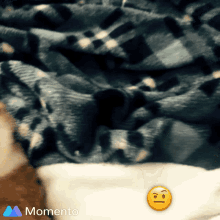 Juno Cat GIF - Juno Cat Suspicious GIFs
