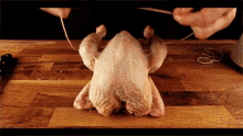 Kamipoulet Chicken GIF - Kamipoulet Chicken Tie It Up GIFs