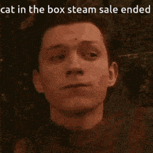 Cat In The Box Steam GIF - Cat In The Box Steam Sale GIFs
