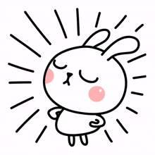cute rabbit bunny white confident
