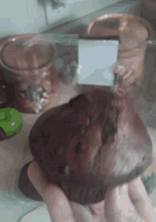 Double Chocolate Muffin Muffins GIF - Double Chocolate Muffin Muffins Chocolate Muffin GIFs
