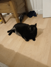 a black cat is laying on a wood floor
