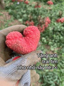 a person is holding a heart shaped fruit in their hand with a caption in another language