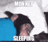 Sleeping Monkey GIF - Sleeping Monkey Monkey Sleeping GIFs