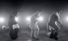 Furry Dancing GIF - Furry Dancing Trio GIFs