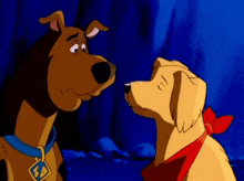 scooby doo and a golden retriever are looking at each other .