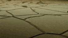 Cracked Soil Entombed In Gold Forever GIF - Cracked Soil Entombed In Gold Forever Land GIFs