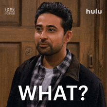 What Sid GIF - What Sid How I Met Your Father GIFs